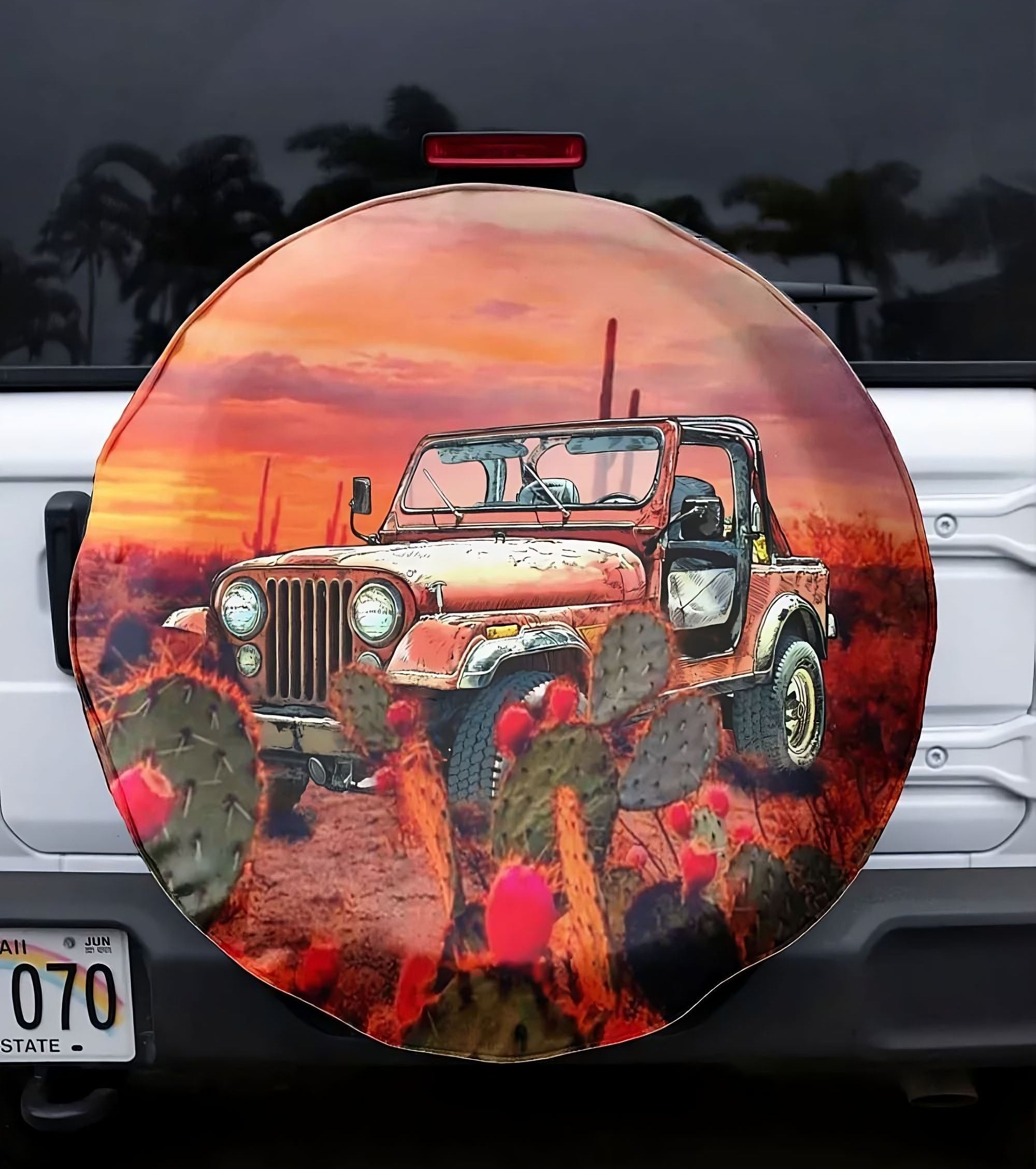 on-a-dark-desert-highway-spare-tire-cover